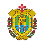 Llanteras en Veracruz