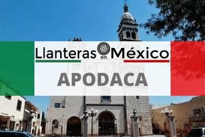 Llanteras en Apodaca – Directorio de llanteras y vulcanizadores con teléfonos, direcciones y horarios